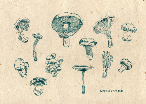 nvm-illustration:  Mushrooms are rather wonderful things to draw, even if the absorbency of the paper wan’t the best to hold the ink.  Either way here is a thing. 