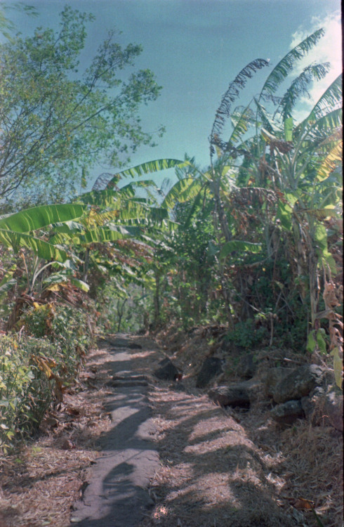 camilascarinci: isla de ometepe, zopilote ways