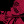 suggarbubble:I honestly just really like desperation of any kind like whining and