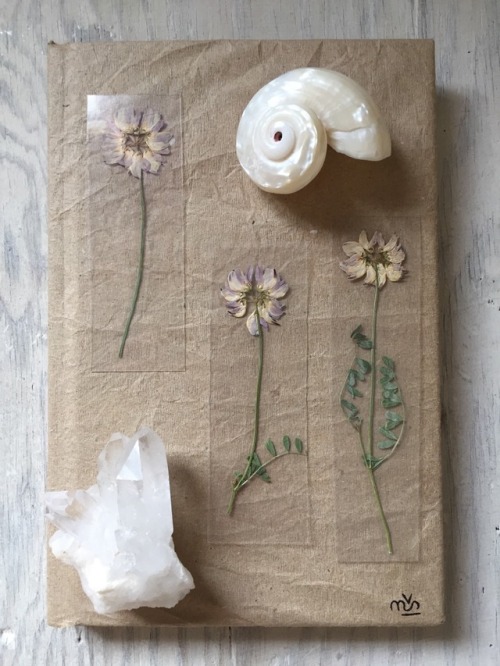 floralsgifts: Pressed flower bookmarks ~ floralsgifts.com ✨