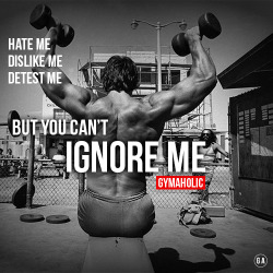 gymaaholic:  Hate me. Dislike me. Detest me. But you can’t IGNORE ME ! Arnold Schwarzenegger http://www.gymaholic.co