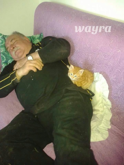 wayra24:Bello amorcito