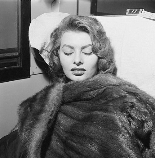 avagardner: Sophia Loren sleeps inside a train on her way to visit US Military, 1950.