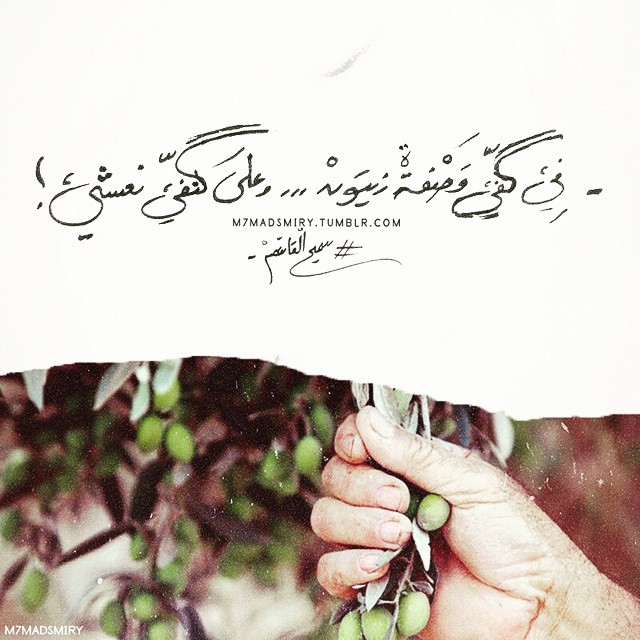 majdoly-bovardia:  🌿.