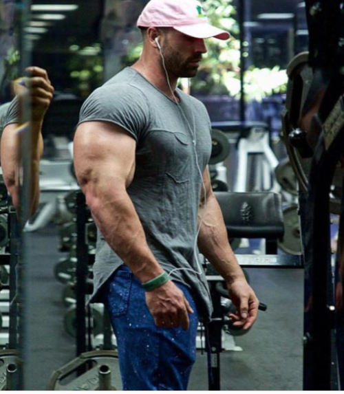 dafyddbach:    Bradley Martyn for 5300 followers.  For more muscle hunkery follow @dafyddbach