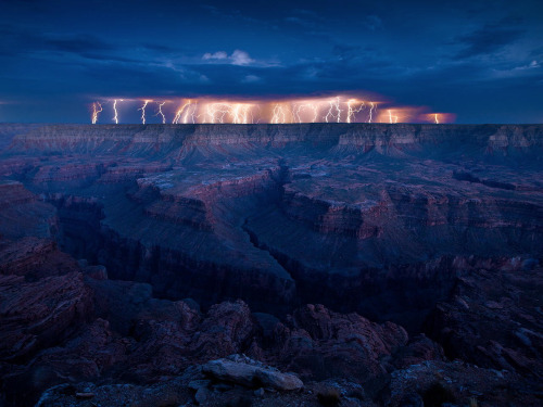 nubbsgalore:  lightning strikes the grand canyon. photos by (click pic) travis roe, dan ransom (timelapse), rold maeder, gerard baeck, david ponton, doug koepsel and adam schallau 