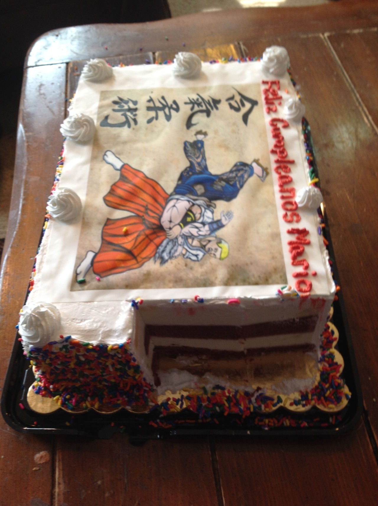 Coolest DIY Birthday Cakes  Martial Arts Cakes