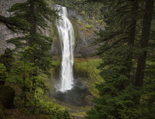 Salt Creek Falls, Cascade Mountains - Oregon by Janis Morrison