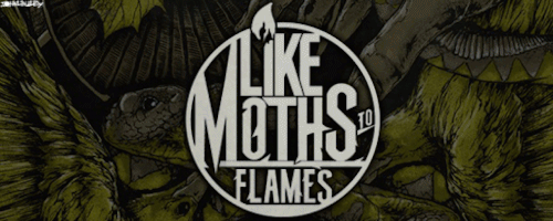 johnlindley665: Like Moths To Flames. 