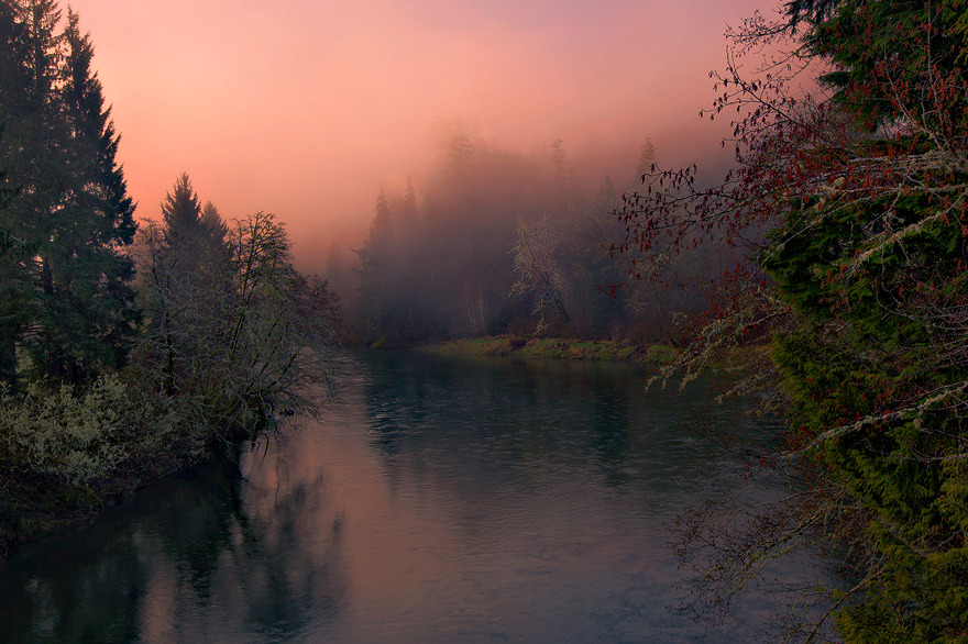softwaring:The moon hangs over the Sol Duc River and warmly lit trees at this popular