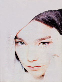 warmthestcord:  Björk by Gino Sprio 