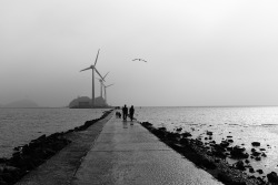 Lensblr-Network:  Tando Harbor.ansan, Korea / Jun. 2013Leica M9-P35Mm Summilux F/1.4