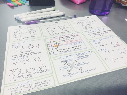 joo-ah-lee: 01.30.16 20/100 days of productivity A nice reference for important structures, reaction