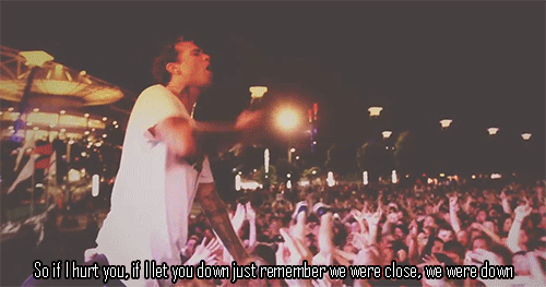fr4mework:  fuckyeahunfd:  The Amity Affliction, Sydney Soundwave good times    Down~