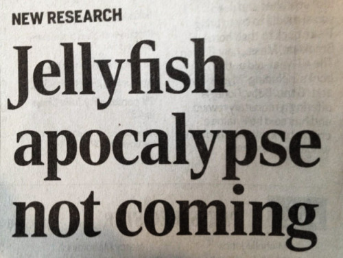 anachronistique: ginthusiastic: flatbear: nevver: Apocalypse not Poor little jelly just wanted to st