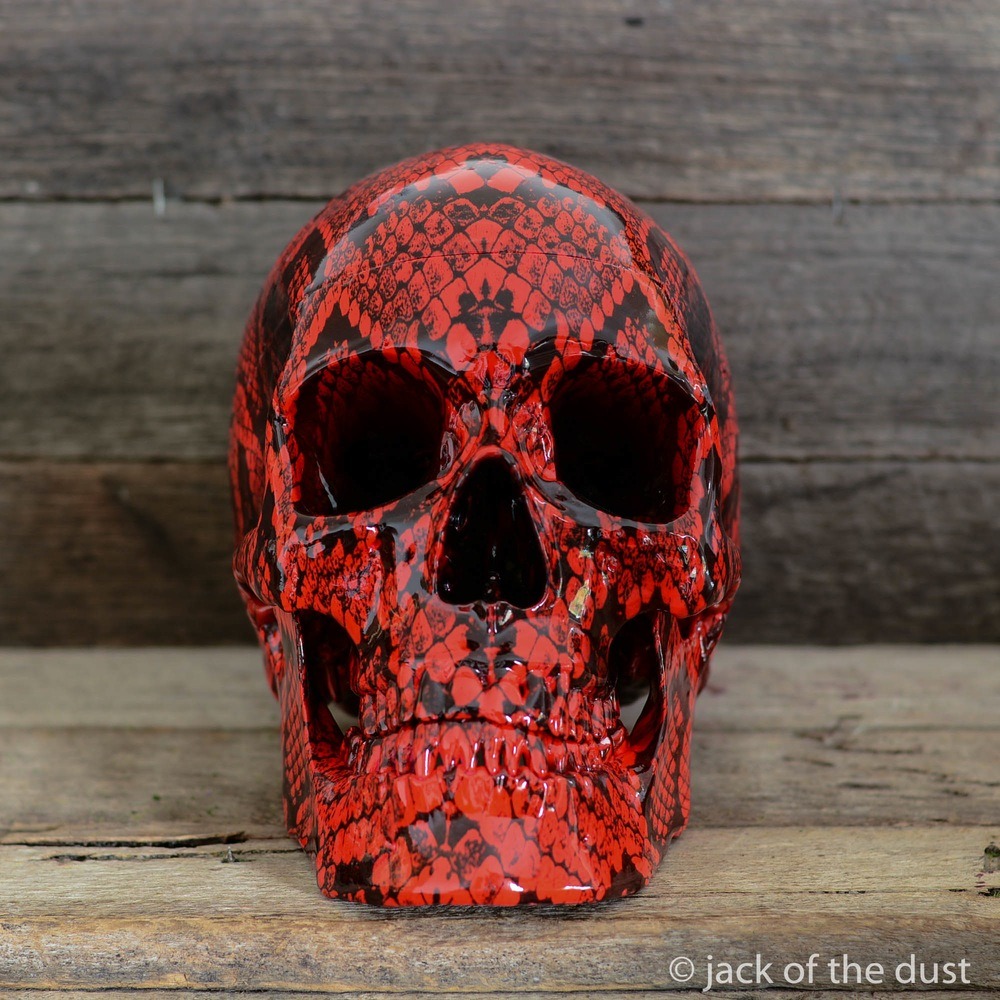 coolthingoftheday:  Skull sculptures by Jack in the Dust.  (Artist) 