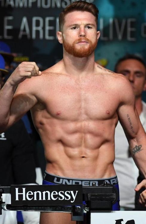 boredirish: Canelo Alvarez… my new favourite red head #caneloalvarez #redhead #ginger #bear 