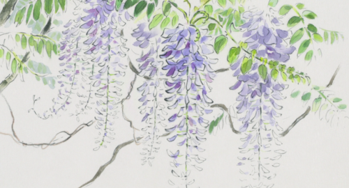 jenology-archive:The Tale of Princess Kaguya (2013)