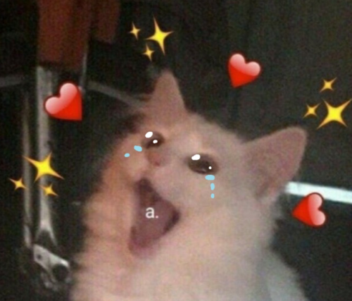 The Blorbos, I Love Them