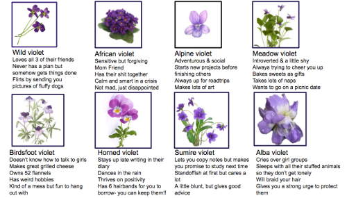 sapphicsweetie: tag yourself meme, sapphic violets edition! ( please don’t reblog if you are n