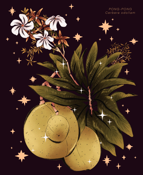 pon-pong ✸ &frac34; of my spot illustrations of poisonous plants for The Islands of #SinaUna ✨ thank