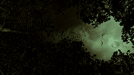 potterblr:  “If you made a better rat than a human, it’s not much to boast about,