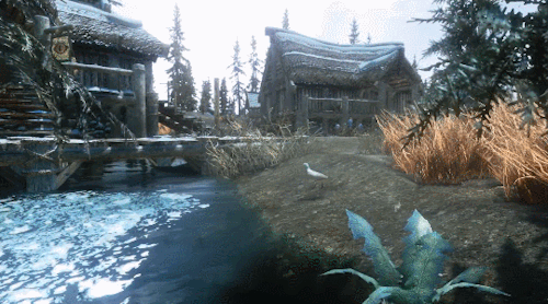 Skyrim  Morthal