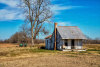 Along Cane River 01/30/2014 Oil Paint Rendered
– Natchitoches Parish, Louisiana
Our imagination is the source
of everything we need
to find what we need
to do what needs to be done
in each situation as it arises
all our life long