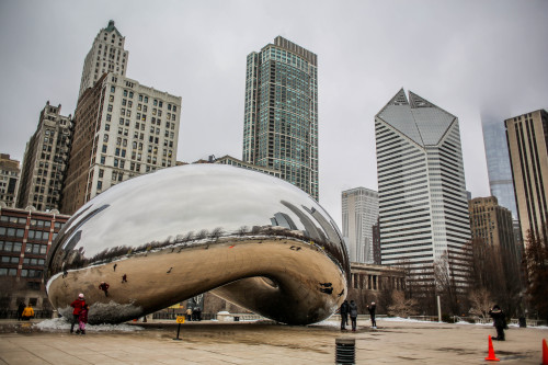 The Bean: Chicago - 2015