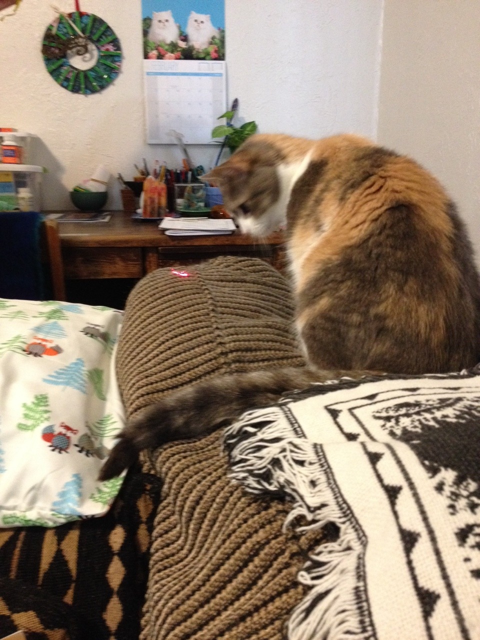 cremisius:a graceful and dignified creature