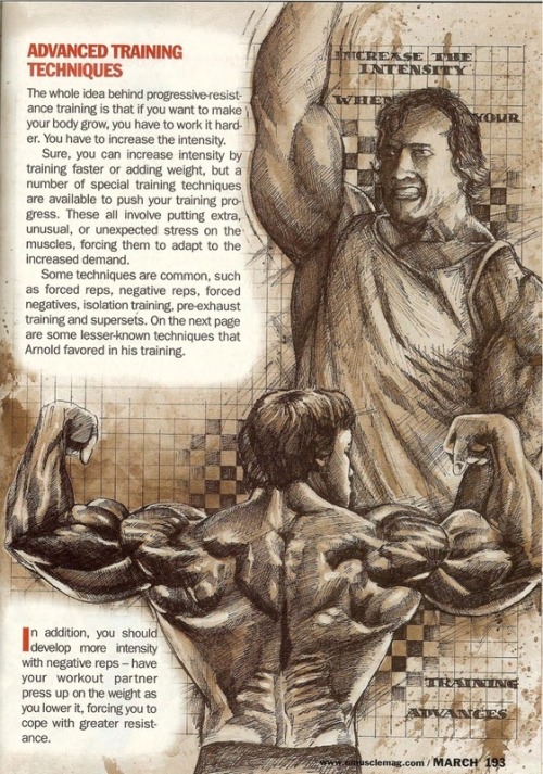 steadymirin:  always reblog arnold.