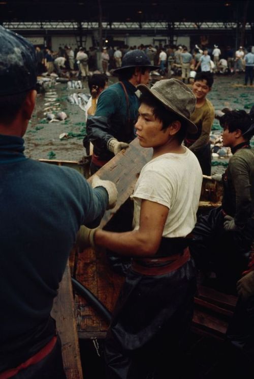 s-h-o-w-a:Tokyo fish market, 1964Ph. Brian Brake