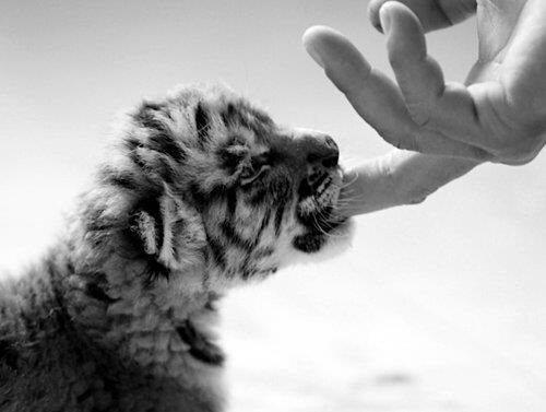 Mine!