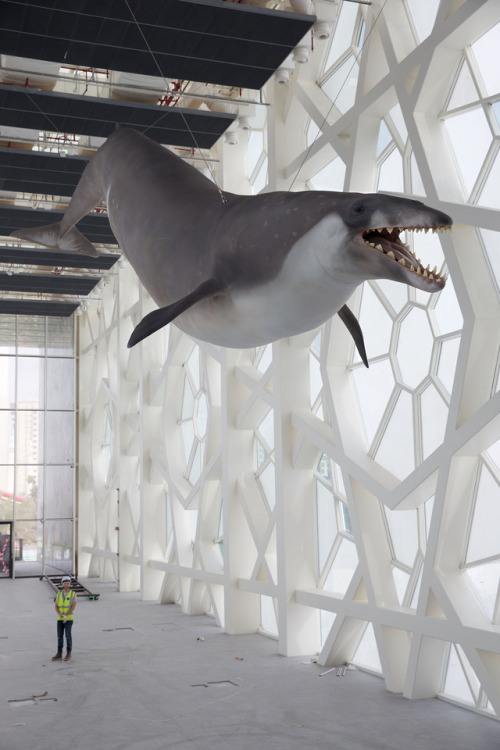 The Quetzalcoatlus weren’t the only giants we strung up in Kuwait this year&hellip;Our 60-