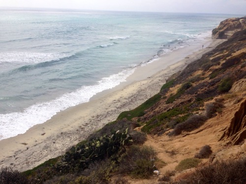 astreals:  Looking back at photos from California
