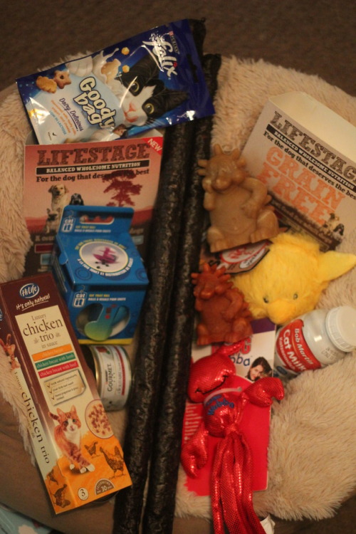 kyzytyger:its my spoilt cat maliks birthday (he is five) so i bought him and my dogs lots of goodies