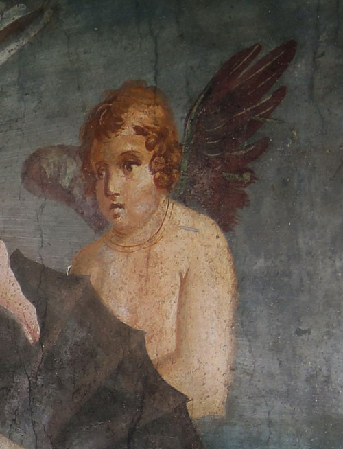 Wall painting in the House of Venus, Pompeii.