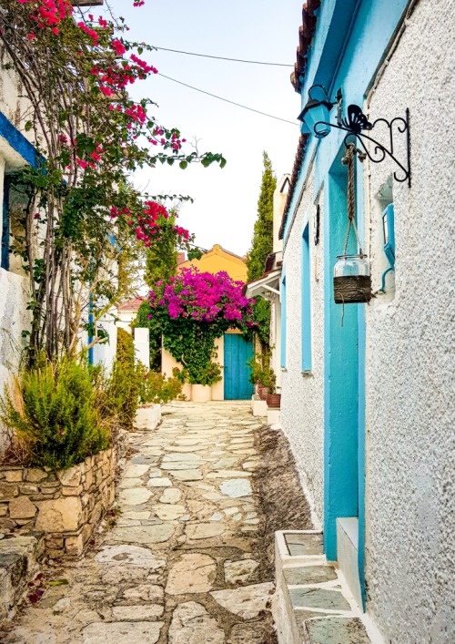 Charming little alley at the Old Village of Alonissos!www.alonissos.gr Elli (instagram.com/elaki26) 