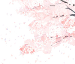 helaris:  cherry blossom by 笹谷 