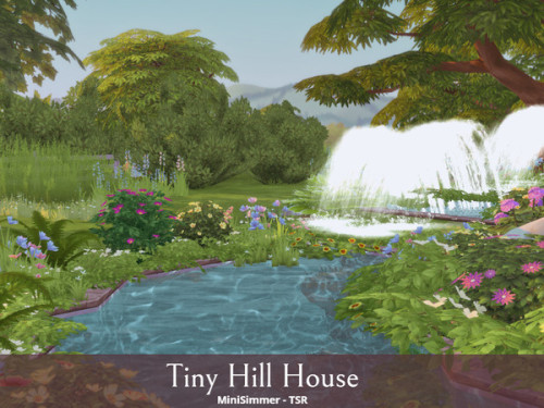 Tiny Hill HouseLot Details:- Lot type: Residential   - Lot size:  30x20 - Originally built in Wind