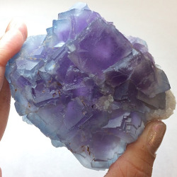 phenomenalgems:  😱❄️🦄 For those of us with a more serious Fluorite addiction: this stunner will satisfy your need for classic American specimens! Beautiful cluster of sky blue cubic Fluorite crystals, with lilac color zones and centers, from