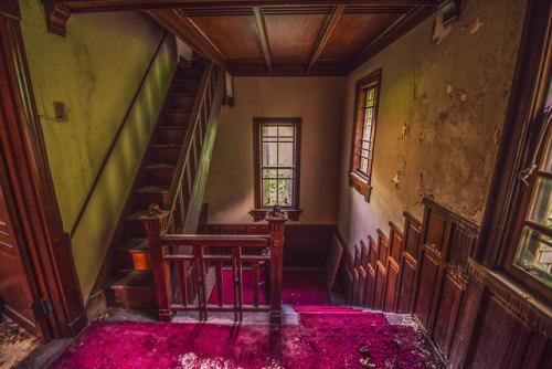 Abandoned Mansion - A森の廃洋館,日本