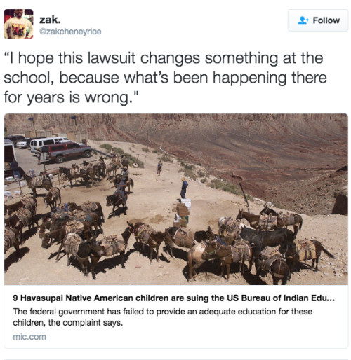 the-movemnt: 9 Havasupai Native American children are suing the US Bureau of Indian Education Nine s