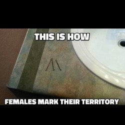 Lol