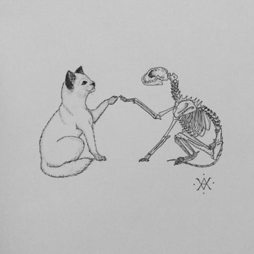 andievilar: Tattoo flash.