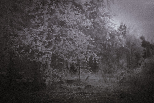 caologia - awaken and aching