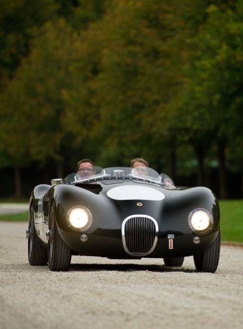 www.cellcode.us 13fc1ce5180a9403af8342a0d887f074–jaguar-c-type-jaguar-roadsterFonte tinamotta.