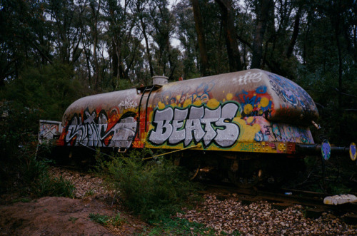 Sluts and Beats, all you need for a good party in the Aussie bush