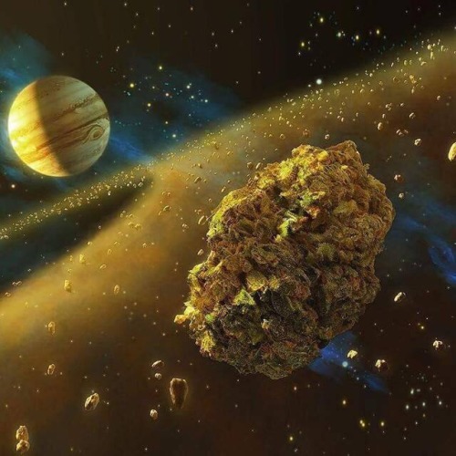 wm420 - When the plug says “this bud is out of this world” he...