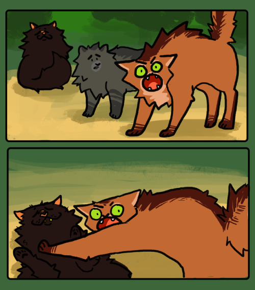 snickerdoobles:fireheart calm down it’s part of cinderpaw’s training(original)